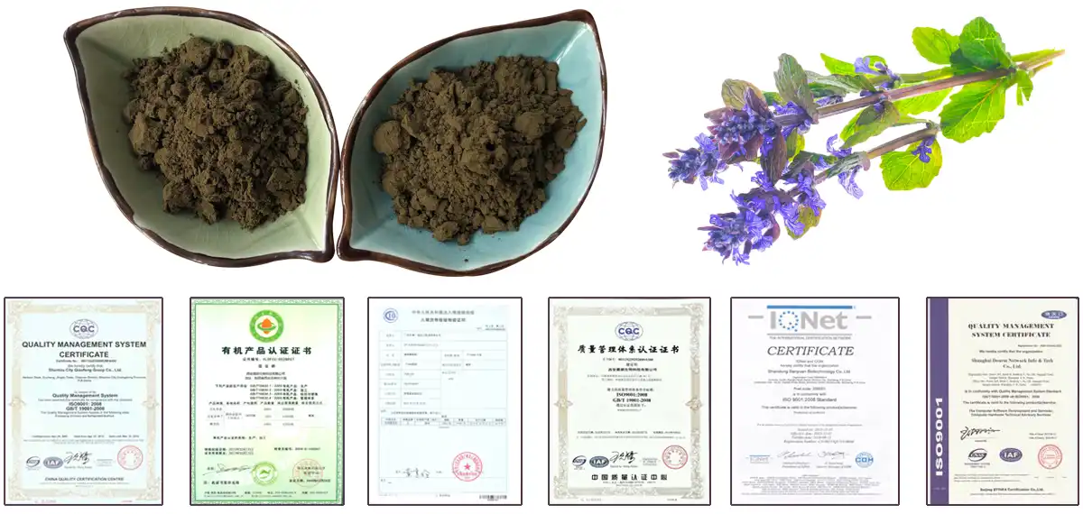 Ajuga Turkestanica Extract AAAAA.jpg